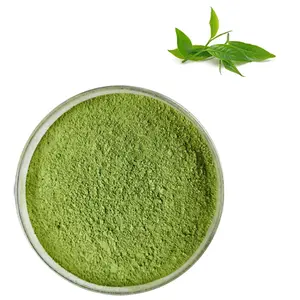 Macha fresca de grado alimenticio, té verde, matcha en polvo