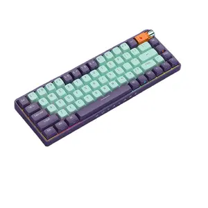 Royalaxe R68 Gaming Keyboards and 67 Keys Mechanical Gaming Keyboard for Computer ttc switch