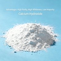 Vente de poudre d'hydroxyde de calcium de haute pureté 99,5% pour applications industrielles