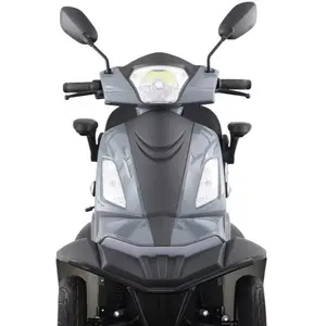 Hot Sale Factory Direct Selling Electric Car 4 Wheels Electric Motorcycle Electric Scooter Flistar For Adult