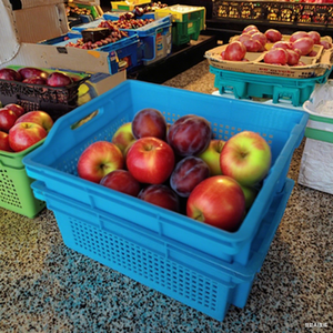 UGET Mesh Style <strong>Plastic</strong> Crates for Fruits &amp; Vegetable Storage <strong>Plastic</strong> <strong>Totes</strong> - Product Image 1