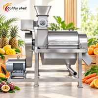 Industriële fruitpers Goldenshell continu type, superieure prestaties, apparatuur voor het extraheren van fruitpulp