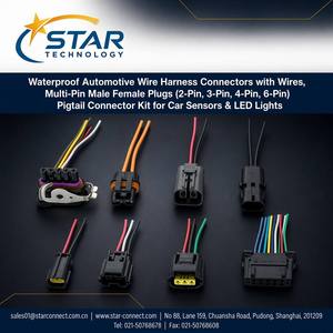 Connecteurs automobiles étanches personnalisés à 2/3/4/6 broches mâle/femelle avec faisceau de câbles pour capteurs de voiture et éclairage LED - Product Image 1