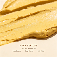 ETRUN ALISA Marque privée Masque facial à l'argile au curcuma biologique Nettoyage en profondeur blanchissant Réduire les pores Masque de boue pour les soins de la peau