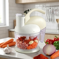 Robot culinaire multifonction 300W FP-16017 2L, hachoir à légumes électrique, coupe-légumes, hachoir à viande, bol en verre, pour la maison