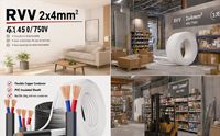 Câble souple en cuivre isolé PVC RVV 2x4mm² 450/750V pour usage intérieur, atelier et décoration intérieure