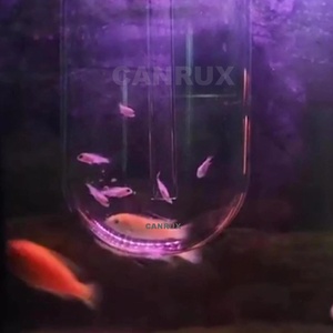 Cá Trứng Tumbler Lồng Ấp Trại Giống Cho Miệng ấp trứng Cá & Tôm Bền Chăm Sóc Trứng Công Cụ Cho Aquarium Chăn Nuôi 60Mm - Product Image 6