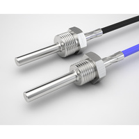 Sensor Suhu PT100 RTD Berlapis Baja dengan Ulir M12, Baja Tahan Karat 316L, Probe IP67, Kabel PTFE untuk Penggunaan Industri Reaktor
