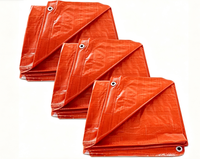 Bâche en PE imperméable robuste personnalisée avec bords renforcés résistants aux UV