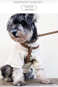 Modische Marken-Hundeleine mit Brust- und Rückengurt, Halsband und Halsschmuck - Product Image 6