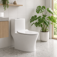 Toilette intelligente avec réservoir d'eau intégré, chasse d'eau automatique par capteur, en céramique, monobloc, pour salle de bain moderne