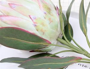 <span class=keywords><strong>Protea</strong></span> Cynaroides โพรไบโอเดอร์ปลอม,ดอกไม้โพรเอที่ติดทนนานขนาดยักษ์ปี E-1101สำหรับตกแต่งวันคริสต์มาสและงานแต่งงาน - Product Image 6