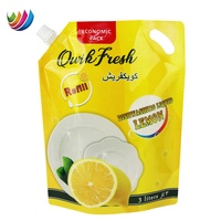 Sacs de recharge personnalisés 3L 5L pour savon à lessive liquide vaisselle en plastique poche debout avec bec verseur