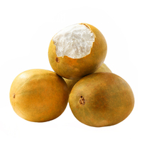 Dijual teh buah kering suhu rendah dehidrasi Luo Han Guo kuning emas Siraitia Grosvenorii