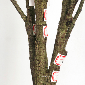 Giá bán buôn nhân tạo Cây Ô Liu chậu cây trang trí nội thất tự nhiên gần mô phỏng Cây Ô Liu - Product Image 5