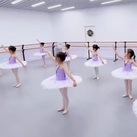 Gonna da Balletto Viola per Bambine con Fiocco, Gonna TUTU con Bretelle, Abito per Spettacoli, Costume da Fata dei Dolci e Frutti