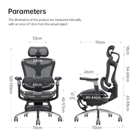 SIHOO Mobilier de Bureau Moderne C300 Chaise de Bureau Exécutive de Luxe en Maille avec Accoudoirs Réglables 6D
