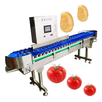 ORME-Machine à trier les anchois, concombres, agrumes, banane, maïs, petite machine à trier, qualité fabricant