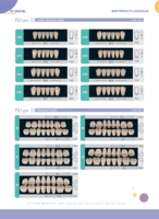 Dents Multicouches en Résine Acrylique Dentaire OEM, Jeu Complet de Dents Prothétiques
