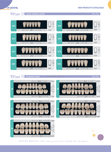 Dents Multicouches en <span class=keywords><strong>Résine</strong></span> <span class=keywords><strong>Acrylique</strong></span> <span class=keywords><strong>Dentaire</strong></span> OEM, Jeu Complet de Dents Prothétiques - Product Image 3
