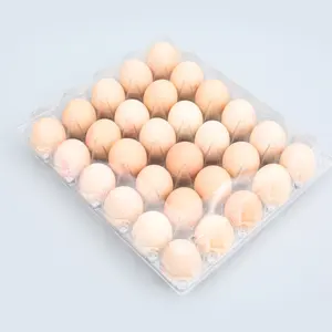 Wholesale Customized PET Clear Box Egg Package Container Clamshell Disposable Egg Tray Plastic Container 8 12 15 16 30 Holes