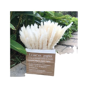 Wholesale 15-Stem <strong>Small</strong> Pampasgras <strong>Wreaths</strong> Hot Selling Natural Dry Flower Decorations for Wedding Home Valentine's Day Christmas - Product Image 3
