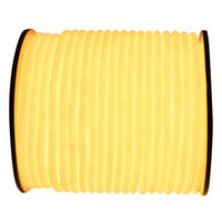 Lampe d'ambiance LED étanche pour extérieur 12-24V pour éclairage paysager de jardin intérieur - Bande lumineuse néon multicolore