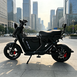 Vélo Électrique (E-BIKE) Haute Puissance Longue Portée 1000W, Moteur Arrière Brushless Numérique, Pour 2 Personnes, Haute Vitesse, Batterie Plomb-Acide - Product Image 4