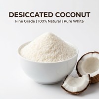 Noix de coco râpée de qualité supérieure, 100% naturelle, blanche, pour pâtisserie, desserts et confiseries