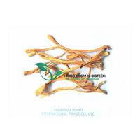 Poudre de champignon huître organique 100% pureté supplément naturel/extrait de Pleurotus Ostreatus polysaccharide bêta-glucane