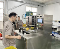 Automatische ananas schil-, kern-, snij- en sorteermachine voor fruitverwerkingsfabrieken