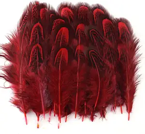 Wholesale Red Pheasant Feathers 2-3 Inch Bulk Various Colors Natural Feather Crafts Clothing Sewing Decorating