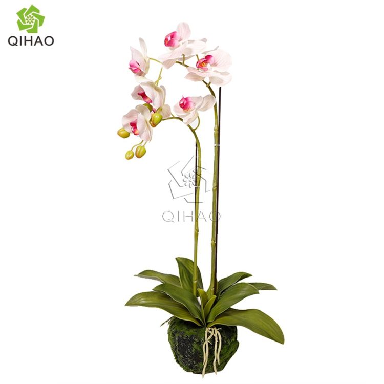 สีชมพูอ่อน