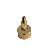 Bouchon de bouteille en plastique brillant or/argent 20mm 24mm 28mm 28/410 24/410 avec bec verseur pour sauce tomate et ketchup