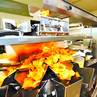 Friteuse industrielle entièrement automatique de haute qualité pour légumes, pommes de terre, fruits, chips, machine alimentaire en acier inoxydable 304 de qualité alimentaire 500-1000