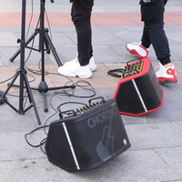 Amplificateur de guitare portable CHORDIO, boîte à son, entrées USB/Aux pour microphone sans fil, sortie >800W, haut-parleur d'instrument d'extérieur