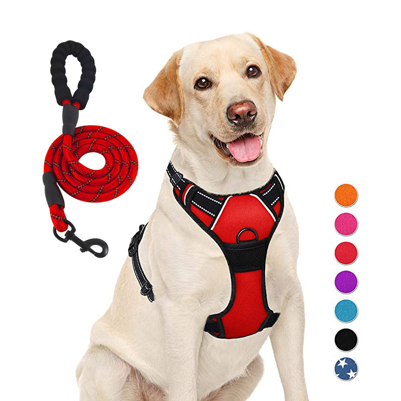 Qbellpet товары для домашних животных на заказ Роскошные Pechera Para Perro Реверсивные регулируемые шлейки и поводка для собак