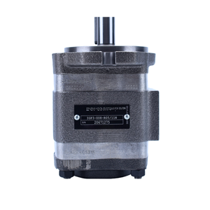 IGP3-008-R01/10 IGP3-008-R05/11N Bomba de Engranajes Internos Hidráulica de Alta Presión para Maquinaria de Construcción IGP3 IGP4 IGP5 IGP6 IGP7 - Product Image 3