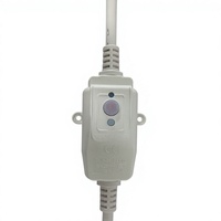 Prise de protection contre les fuites électriques RIFENG 10A/16A IP54 PRCD pour chauffe-eau solaire
