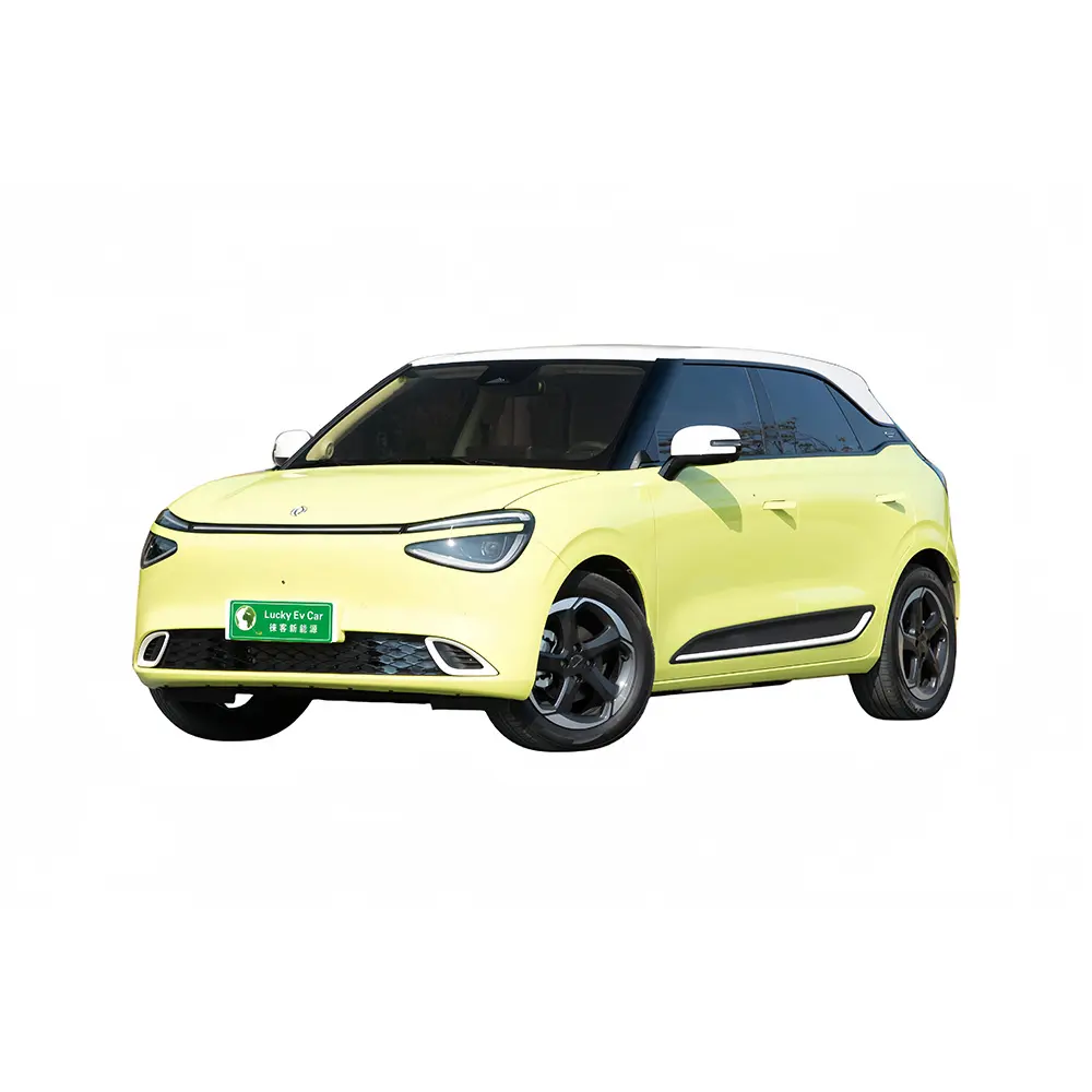 2024 Mini EV Carros Elétricos Puro Dongfeng Nano 01430Max novo modelo de carro elétrico/carros usados