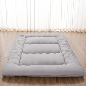 Matelas <span class=keywords><strong>de</strong></span> sol japonais, futon |   Sac <span class=keywords><strong>de</strong></span> <span class=keywords><strong>rangement</strong></span> portable pour tapis <span class=keywords><strong>de</strong></span> tatami, imperméable, écologique, <span class=keywords><strong>housse</strong></span> lavable, camping - Product Image 1