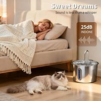 Distributeur d'eau intelligent automatique portable pour animaux de compagnie, en acier inoxydable 304, écologique, durable, moderne, solide, pour chat