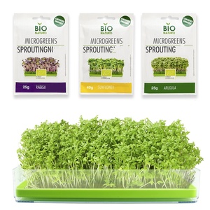 Kit di Microgreens organici Premium in stile Country Design compatto sano giardino di casa - Product Image 3