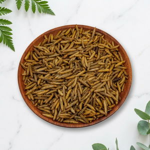 Gusanos de la Harina Secos con Alto Contenido de Proteína <span class=keywords><strong>para</strong></span> Alimento de Peces Guppy - Product Image 1