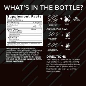 Capsules de créatine monohydrate pure à étiquette privée personnalisée avec logo OEM 3000 mg Capsules de créatine monohydrate <span class=keywords><strong>Optimum</strong></span> <span class=keywords><strong>Nutrition</strong></span> - Product Image 2