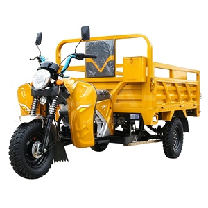 Tricycle à essence chinois de 200 cm3, moto à 3 roues, transporteur de marchandises agricoles avec suspension - Product Image 2