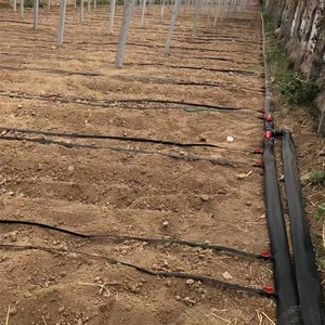 Tuyau de pluie plat PE pour irrigation agricole Micro Spray Tape - Product Image 6