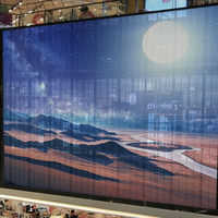 Écrans LED transparents intérieurs/extérieurs 1000x500mm pour magasins de détail, centres commerciaux, vitrines