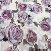 Tissu Pongee 100% Polyester Tissé Double Face Anti-Boulochage à Poids Moyen Imprimé Numérique Style Dobby Écologique pour Tapisserie et Jouets