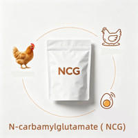 Additif alimentaire NCG (N-Carbamylglutamate) pour la croissance et la reproduction des poulets de chair et des poules pondeuses